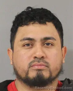 Mugshot of PEDRO MARTINEZ