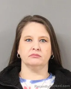 Booking photo from Blount County, Alabama