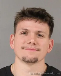 Mugshot of PRESTON JONES