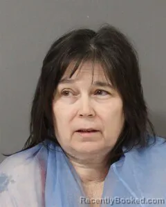 Mugshot of LORI MULLINS
