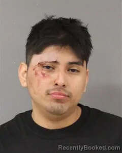 Mugshot of JOHAN FONG