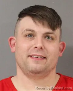 Mugshot of WILLIAM LEWIS