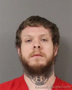 Mugshot of BRIAN ELKINS