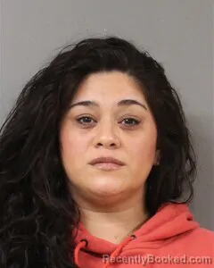 Mugshot of VANESSA PITTS