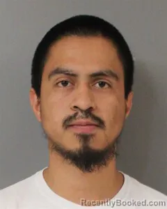 Mugshot of FRANCISCO GARCIS