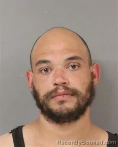 Mugshot of DEVIN SANDERS