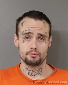 Mugshot of TYLER NELSON booked in Blount County, Alabama on March 17, 2026