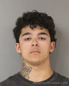 Mugshot of RICHARD HOVE booked in Blount County, Alabama on April 1, 2026