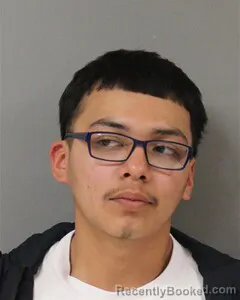 Mugshot of SEGIFREDO HERRERA booked in Blount County, Alabama on April 8, 2026