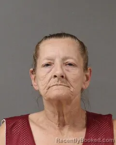 Mugshot of LINDA BLUE booked in Blount County, Alabama on May 6, 2026