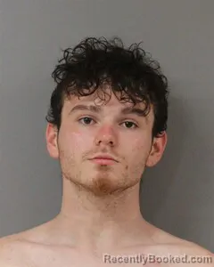 Mugshot of GRAYDEN BROWN booked in Blount County, Alabama on May 12, 2026
