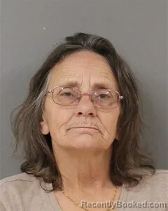 Mugshot of SUSAN SKILLMAN booked in Blount County, Alabama on May 26, 2026