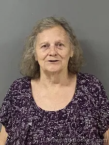 Mugshot of ELIZABETH LOGAN booked in Blount County, Alabama on June 4, 2026