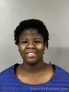 Mugshot of SHELEYIA TERRY booked in Blount County, Alabama on June 13, 2026