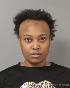 Mugshot of TYSHEMA MCINTOSH booked in Blount County, Alabama on July 10, 2026