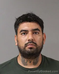 Mugshot of REYES MEJIA booked in Blount County, Alabama on July 12, 2026
