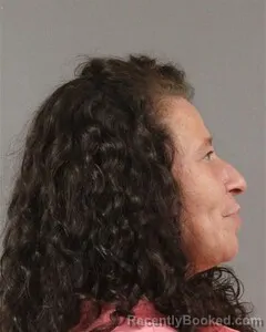 Mugshot of DONNA PUGH booked in Blount County, Alabama on July 13, 2026