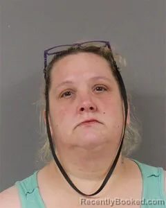 Mugshot of JANICE BIRDSONG booked in Blount County, Alabama on July 14, 2026