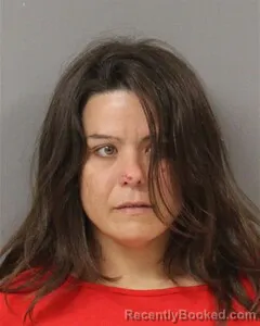 Mugshot of ROBIN MEEKS booked in Blount County, Alabama on July 23, 2026