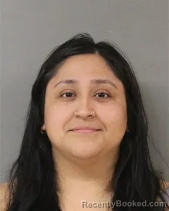 Mugshot of CRISTINA SANCHEZ booked in Blount County, Alabama on August 2, 2026