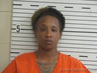 Mugshot of SYDNEE BROWN