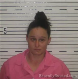 Mugshot of BRANDI NICOLE NOLEN