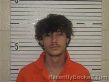 Mugshot of BRIAN ANTHONY DAVIS