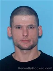 Mugshot of David Bradberry-newman