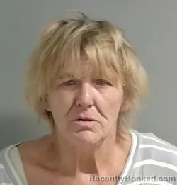 Mugshot of Janice Fulmer