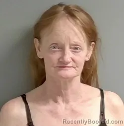 Mugshot of Janet Ford booked in Calhoun County, Alabama on August 12, 2026