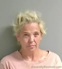 Mugshot of Anita Hill booked in Calhoun County, Alabama on September 25, 2026