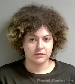 Mugshot of Sierra Hollingsworth