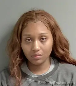 Mugshot of Ashley Lemons
