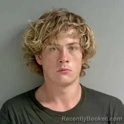 Mugshot of Braxton Martin