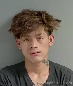 Mugshot of Domingo Perez