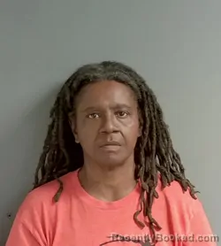 Mugshot of Irene Sistrunk