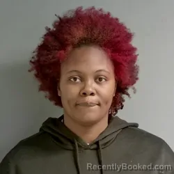 Mugshot of Keiara Swink