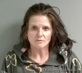 Mugshot of Misty Snyder