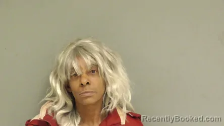 Mugshot of Rebecca Snow