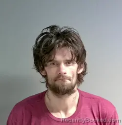 Mugshot of Timo Stiles