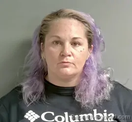 Mugshot of Whitney Snyder