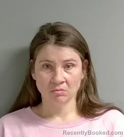 Mugshot of Amanda Tollison