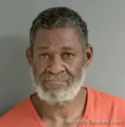 Mugshot of Lee Tippins