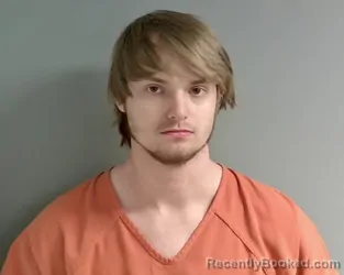 Mugshot of Calvin Willis