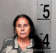 Mugshot of Deborah Quintana-Hegtvedt booked in Chambers County, Alabama on July 28, 2026