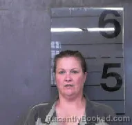 Mugshot of AMANDA ADAMS CAMP