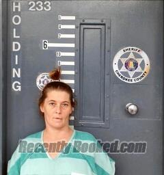 Booking photo from Cherokee County, Alabama