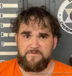 Mugshot of TERRY HENDERSON