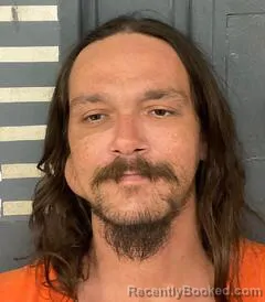 Mugshot of JAMIE DICKERSON