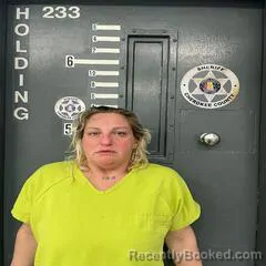 Mugshot of ASHLEY NISKERN